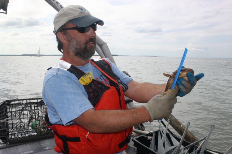 Chesapeake Bay | NOAA Fisheries