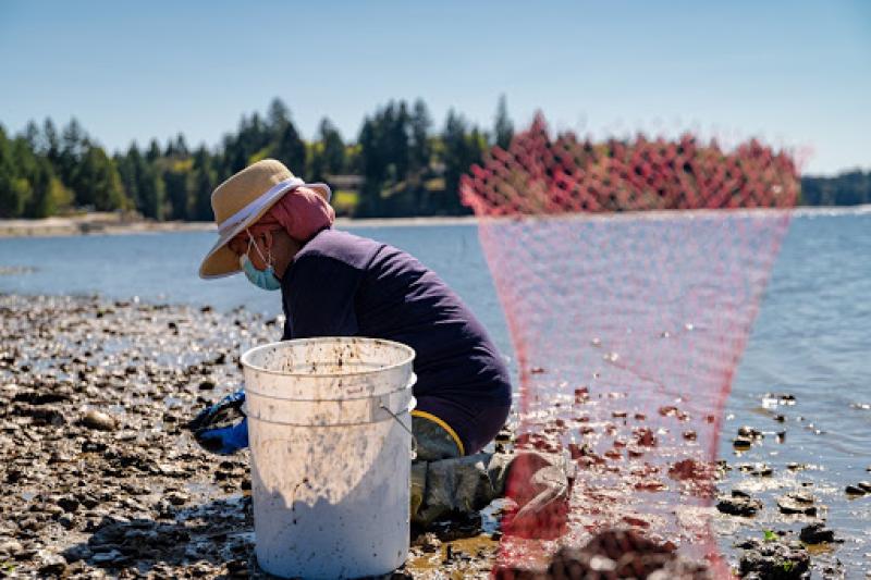 Taylors shellfish store