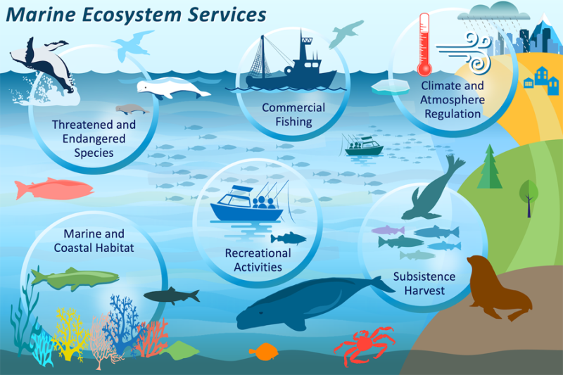 Accurately Accounting for the Economic Value of Marine Ecosystems ...